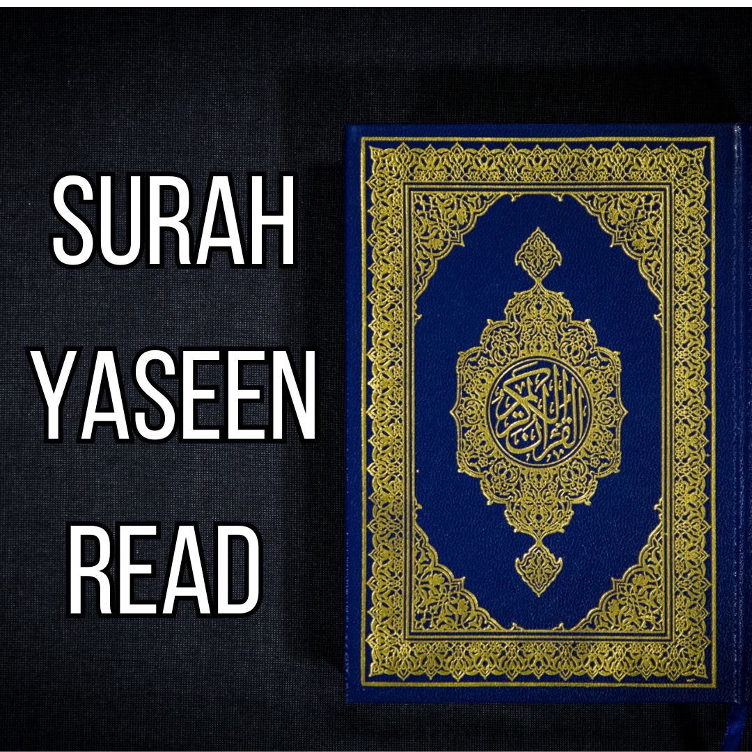 Surah Yaseen Read